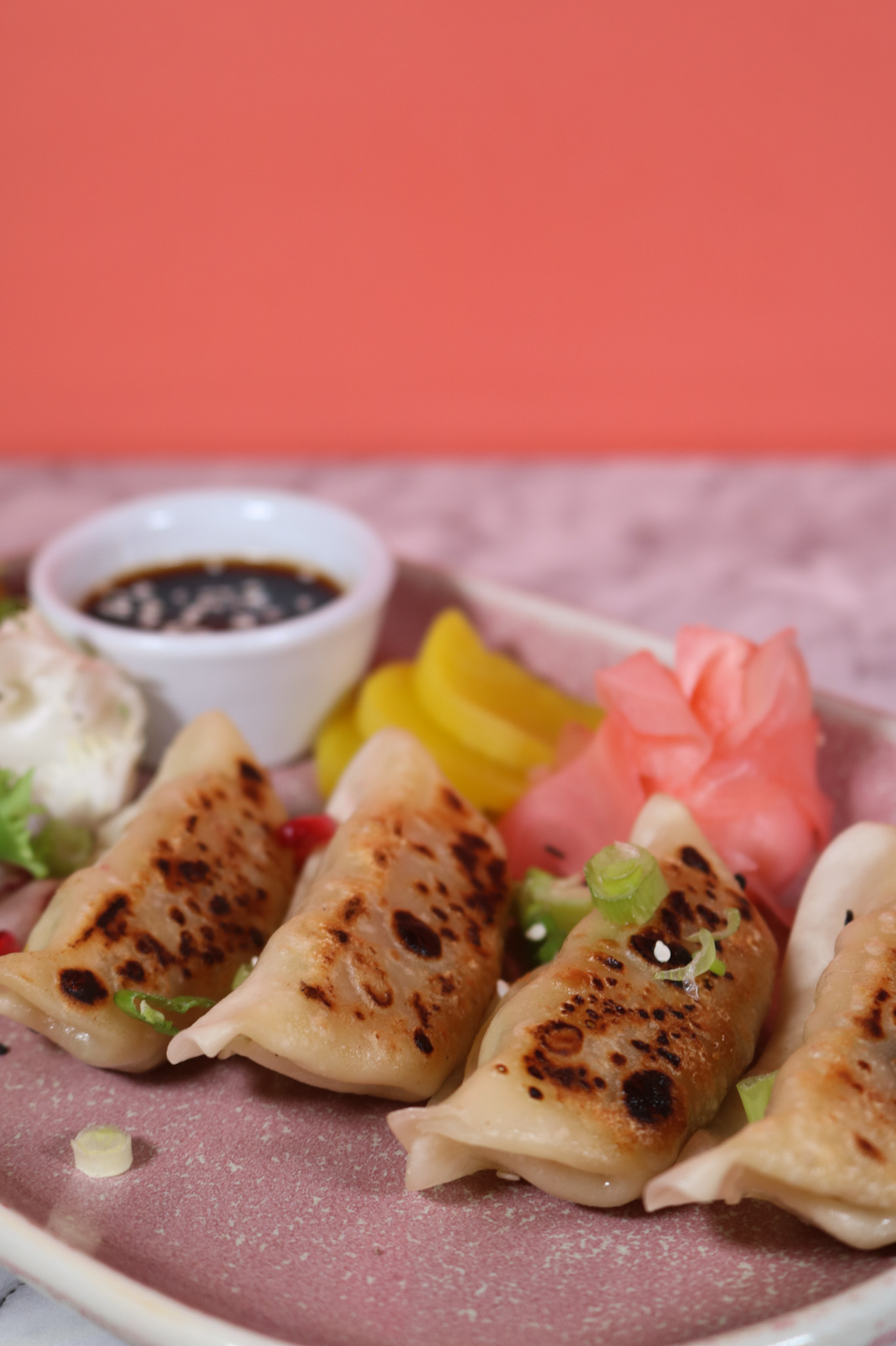 Pan-Seared Vegetable Gyoza