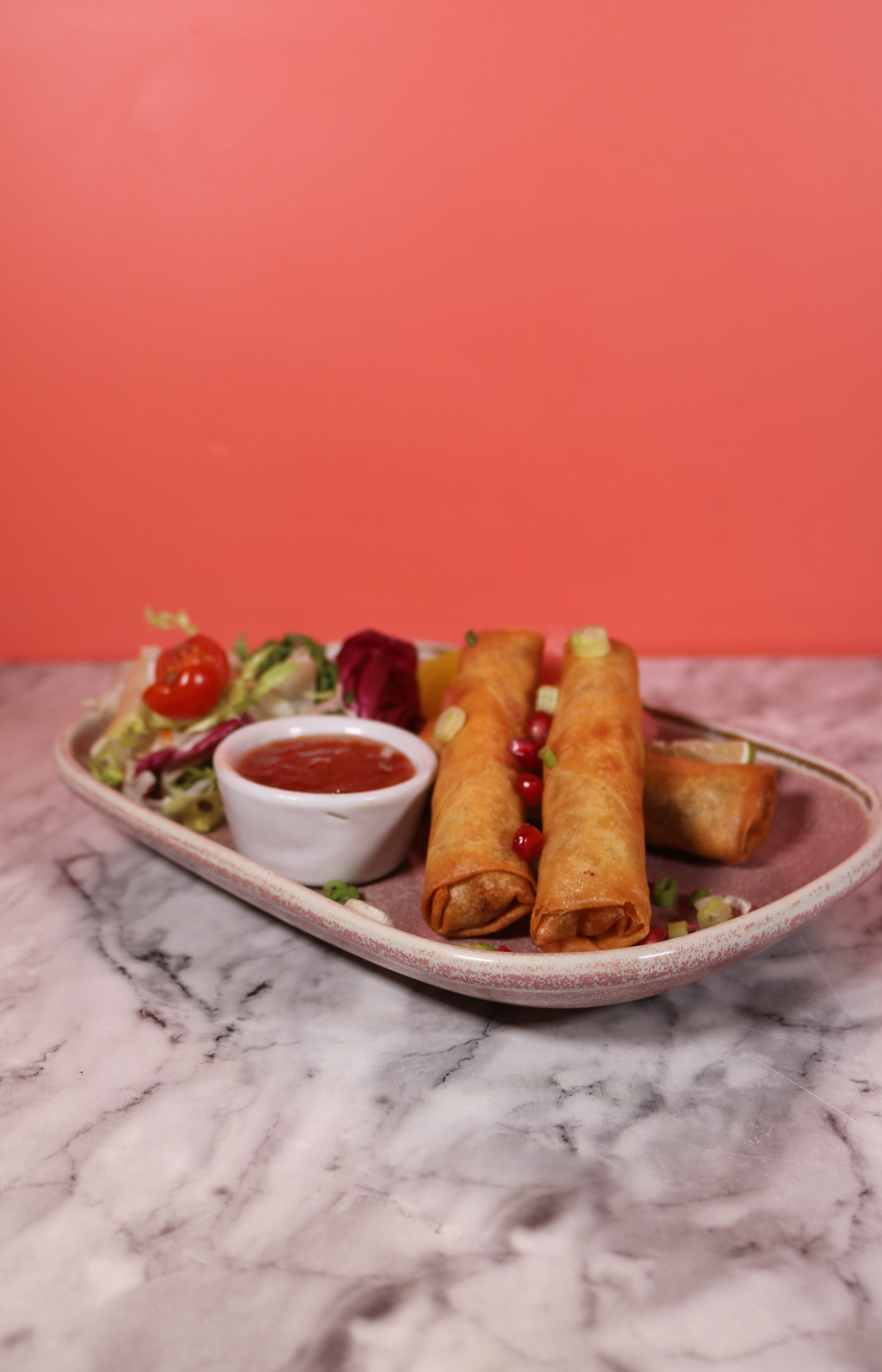 Vegan Spring Rolls